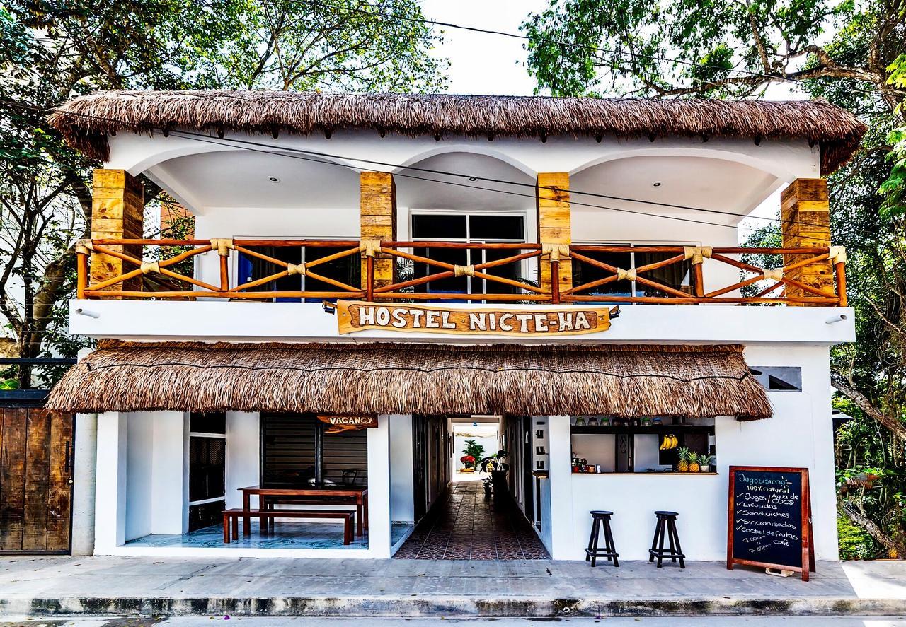Hotel Nicte Ha تولوم المظهر الخارجي الصورة